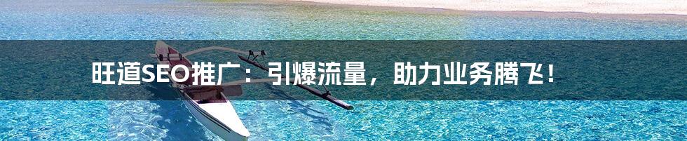 旺道SEO推广：引爆流量，助力业务腾飞！