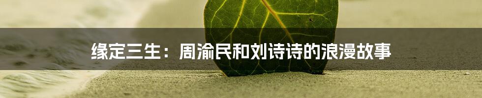 缘定三生：周渝民和刘诗诗的浪漫故事