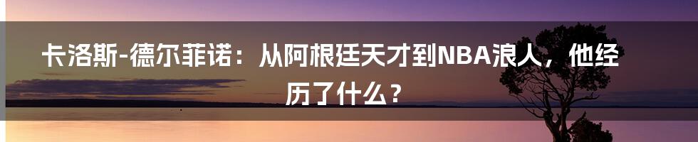 卡洛斯-德尔菲诺：从阿根廷天才到NBA浪人，他经历了什么？