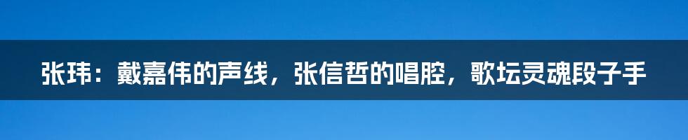 张玮：戴嘉伟的声线，张信哲的唱腔，歌坛灵魂段子手