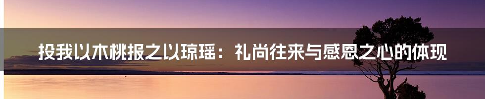 投我以木桃报之以琼瑶：礼尚往来与感恩之心的体现