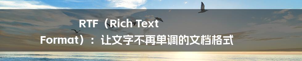 RTF（Rich Text Format）：让文字不再单调的文档格式