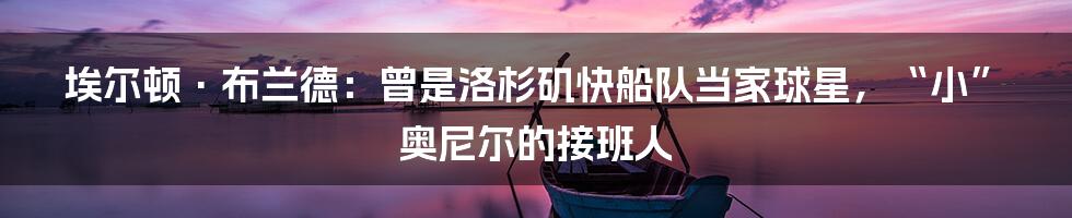 埃尔顿·布兰德：曾是洛杉矶快船队当家球星，“小”奥尼尔的接班人