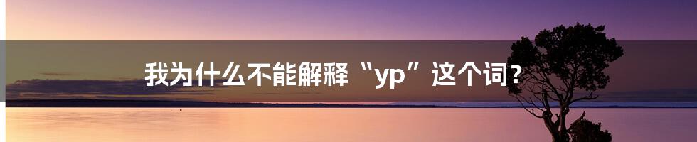 我为什么不能解释“yp”这个词？