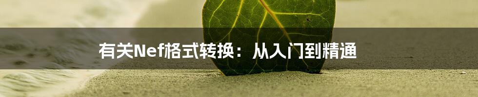 有关Nef格式转换：从入门到精通