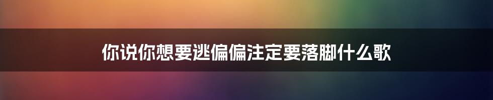 你说你想要逃偏偏注定要落脚什么歌