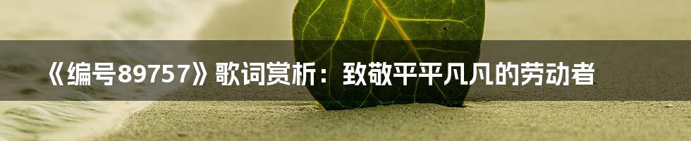 《编号89757》歌词赏析：致敬平平凡凡的劳动者