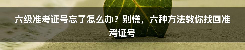 六级准考证号忘了怎么办？别慌，六种方法教你找回准考证号