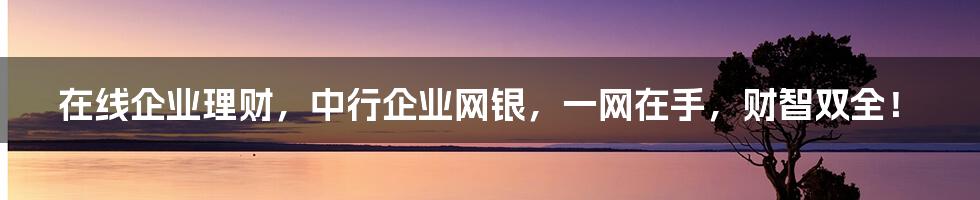 在线企业理财，中行企业网银，一网在手，财智双全！