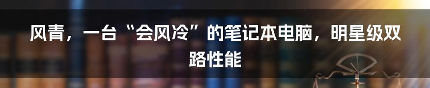 风青，一台“会风冷”的笔记本电脑，明星级双路性能