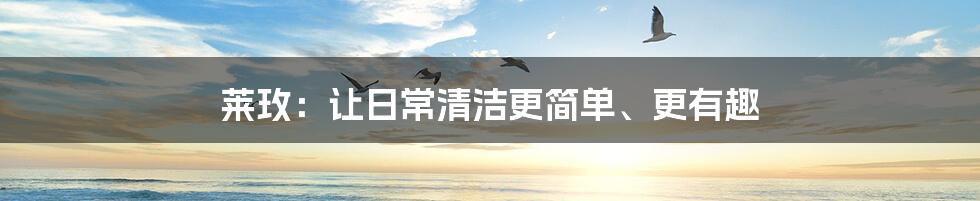 莱玫：让日常清洁更简单、更有趣