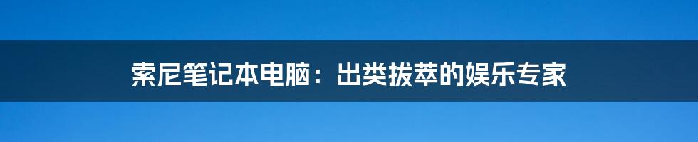 索尼笔记本电脑：出类拔萃的娱乐专家