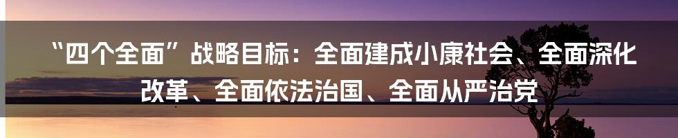 “四个全面”战略目标：全面建成小康社会、全面深化改革、全面依法治国、全面从严治党