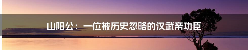 山阳公：一位被历史忽略的汉武帝功臣