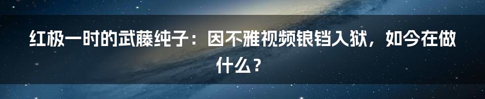 红极一时的武藤纯子：因不雅视频锒铛入狱，如今在做什么？