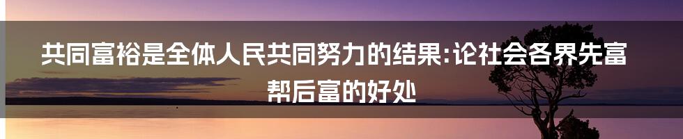 共同富裕是全体人民共同努力的结果:论社会各界先富帮后富的好处