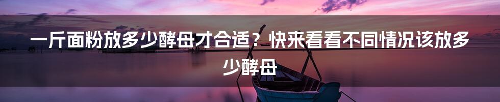 一斤面粉放多少酵母才合适？快来看看不同情况该放多少酵母