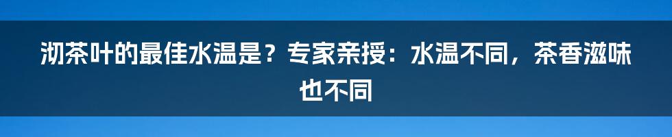 沏茶叶的最佳水温是？专家亲授：水温不同，茶香滋味也不同