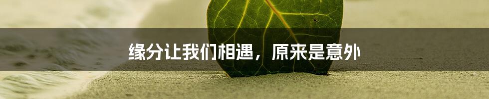 缘分让我们相遇，原来是意外