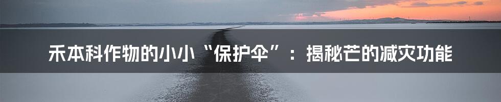 禾本科作物的小小“保护伞”：揭秘芒的减灾功能