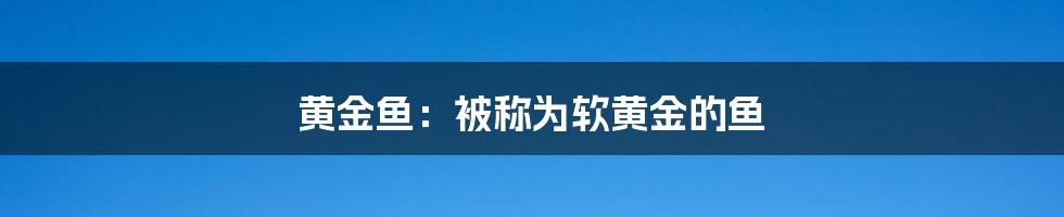 黄金鱼：被称为软黄金的鱼