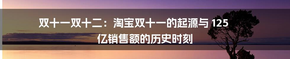 双十一双十二：淘宝双十一的起源与 125 亿销售额的历史时刻