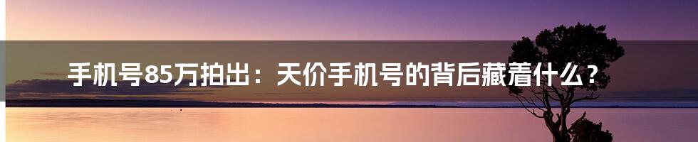 手机号85万拍出：天价手机号的背后藏着什么？