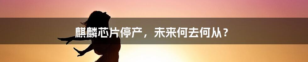 麒麟芯片停产，未来何去何从？