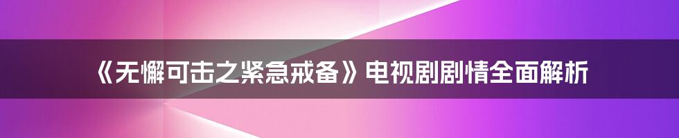 《无懈可击之紧急戒备》电视剧剧情全面解析