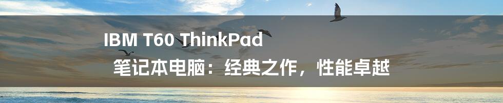 IBM T60 ThinkPad 笔记本电脑：经典之作，性能卓越