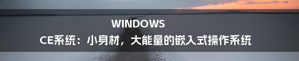 WINDOWS CE系统：小身材，大能量的嵌入式操作系统