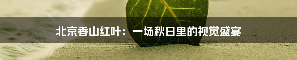 北京香山红叶：一场秋日里的视觉盛宴