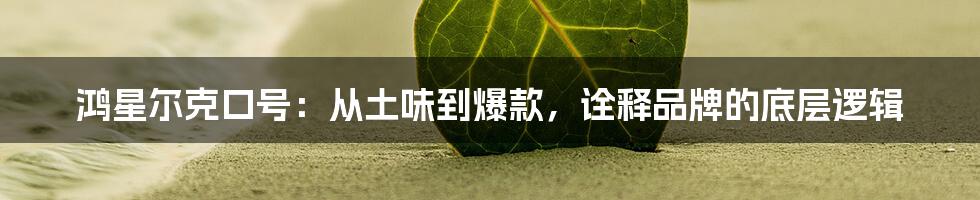 鸿星尔克口号：从土味到爆款，诠释品牌的底层逻辑