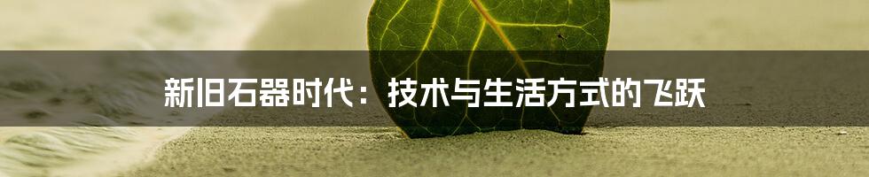 新旧石器时代：技术与生活方式的飞跃