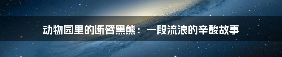 动物园里的断臂黑熊：一段流浪的辛酸故事