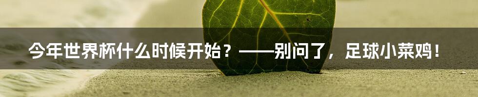 今年世界杯什么时候开始？——别问了，足球小菜鸡！