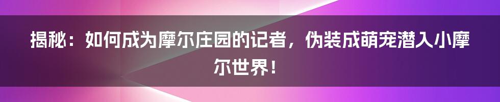 揭秘：如何成为摩尔庄园的记者，伪装成萌宠潜入小摩尔世界！