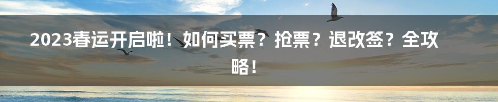 2023春运开启啦！如何买票？抢票？退改签？全攻略！