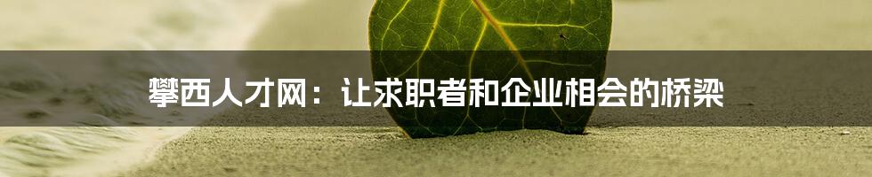 攀西人才网：让求职者和企业相会的桥梁