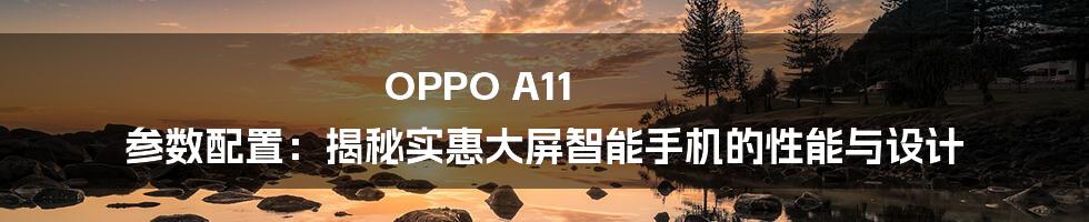 OPPO A11 参数配置：揭秘实惠大屏智能手机的性能与设计