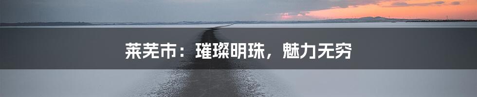 莱芜市：璀璨明珠，魅力无穷