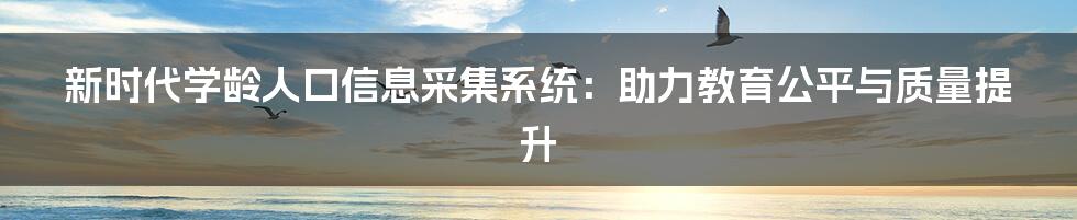 新时代学龄人口信息采集系统：助力教育公平与质量提升