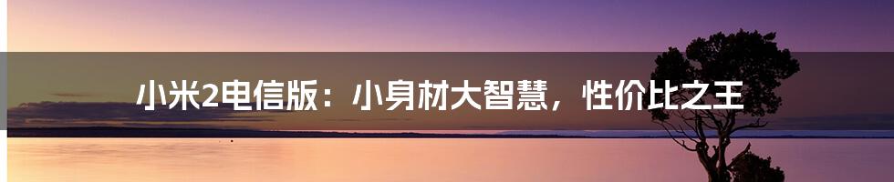 小米2电信版：小身材大智慧，性价比之王