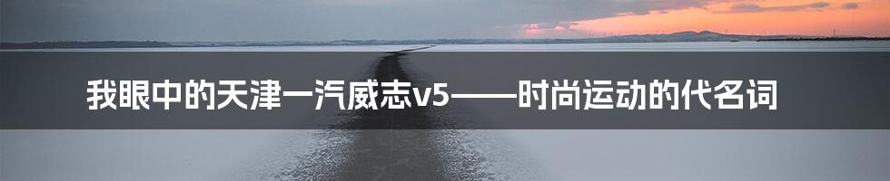 我眼中的天津一汽威志v5——时尚运动的代名词