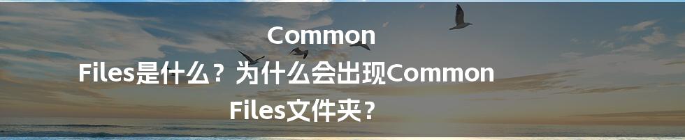 Common Files是什么？为什么会出现Common Files文件夹？