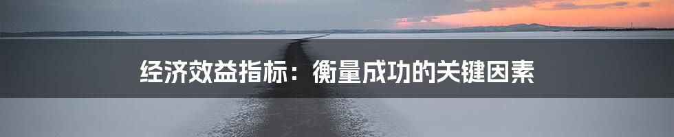 经济效益指标：衡量成功的关键因素