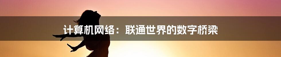 计算机网络：联通世界的数字桥梁