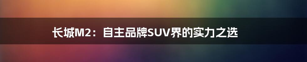 长城M2：自主品牌SUV界的实力之选