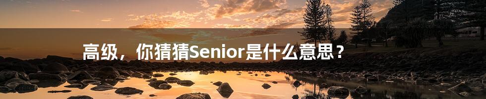 高级，你猜猜Senior是什么意思？