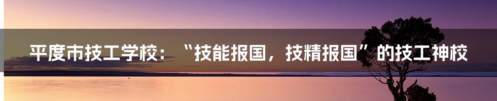 平度市技工学校：“技能报国，技精报国”的技工神校